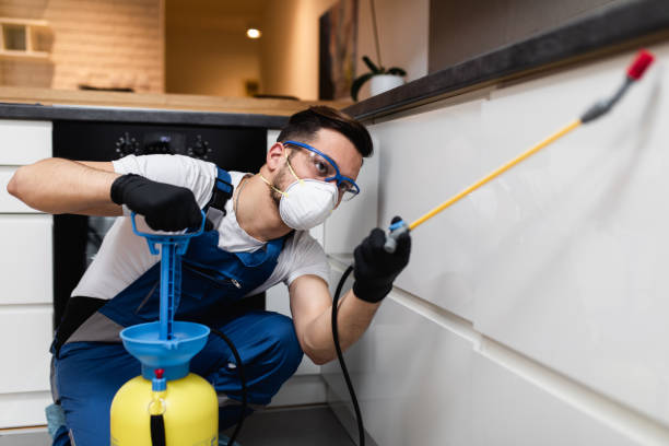 Best Residential Pest Control  in Aragon, GA