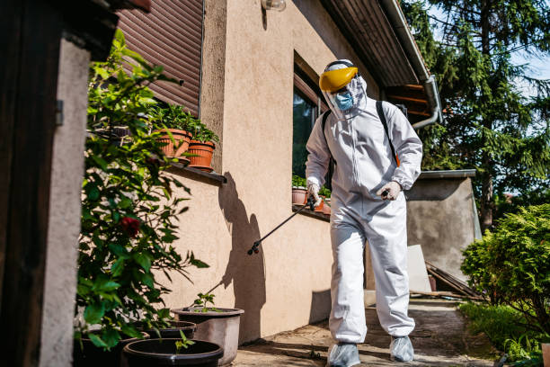 Wasp Removal Services in Aragon, GA