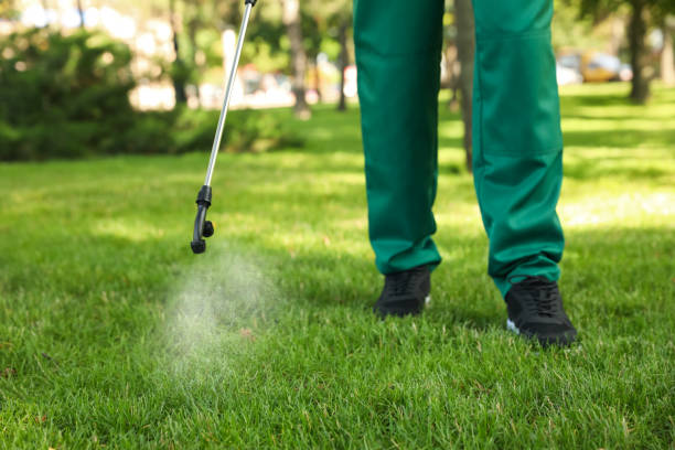 Best Affordable Pest Control Services  in Aragon, GA