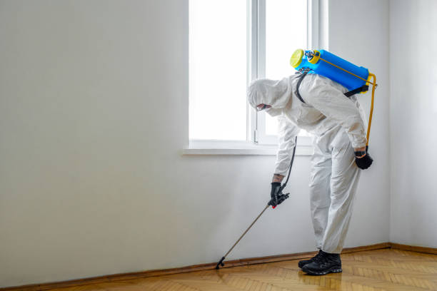 Pest Control Cost in Aragon, GA
