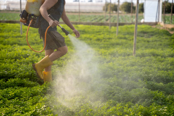 Best Best Pest Control Companies  in Aragon, GA