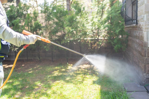 Best Flea Control Services  in Aragon, GA