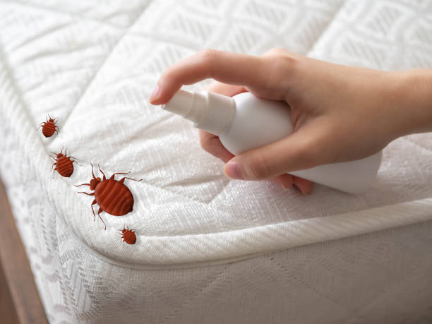 Best Affordable Pest Control Services  in Aragon, GA