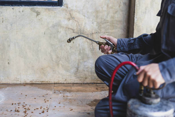Best Commercial Pest Control Services  in Aragon, GA